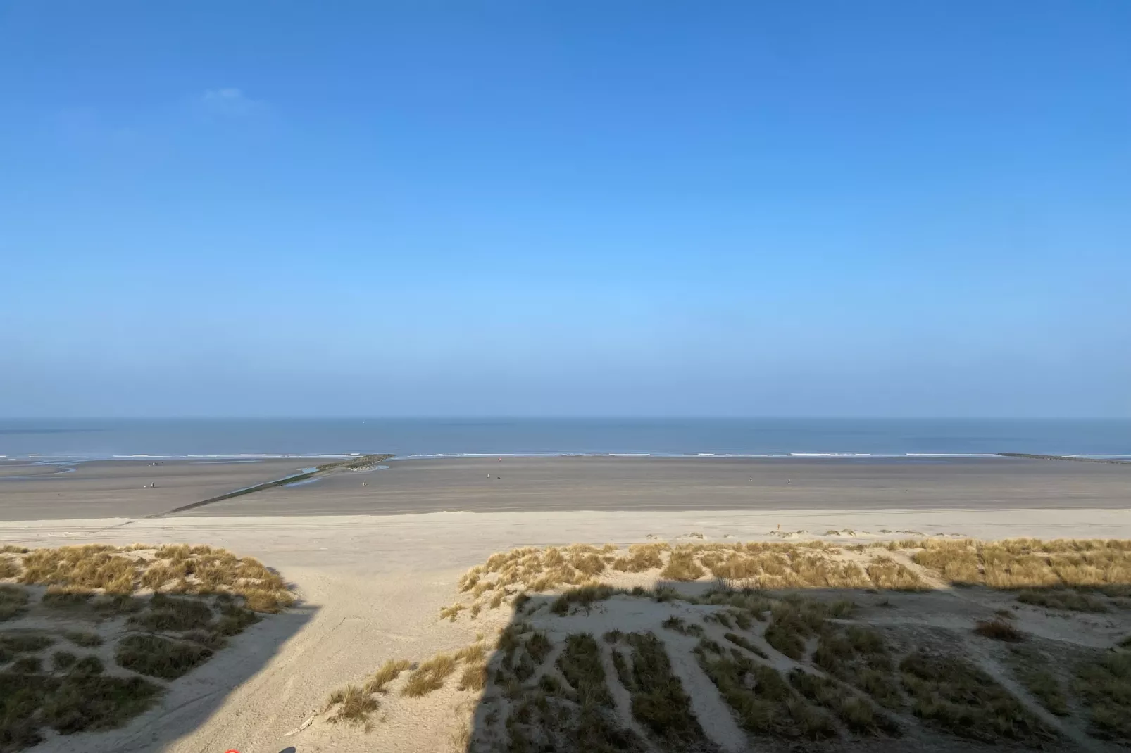 ZEEMEERMIN 502-Gebieden zomer 5km