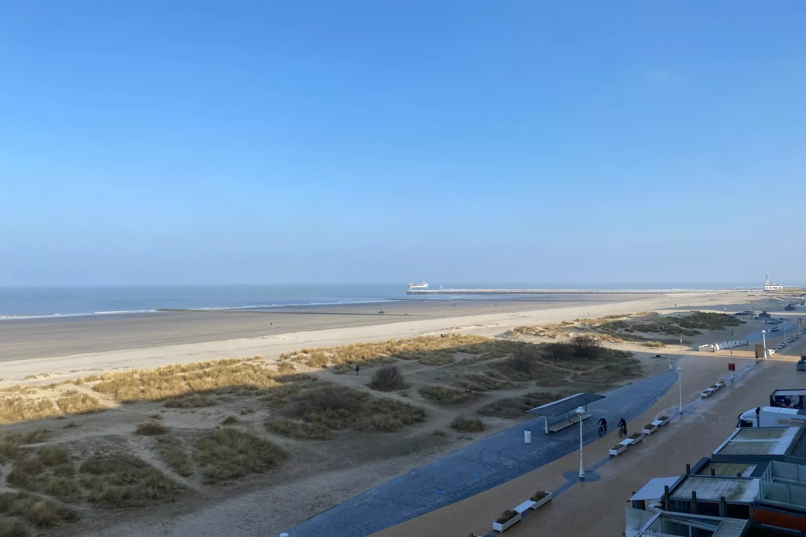 ZEEMEERMIN 502-Gebieden zomer 5km