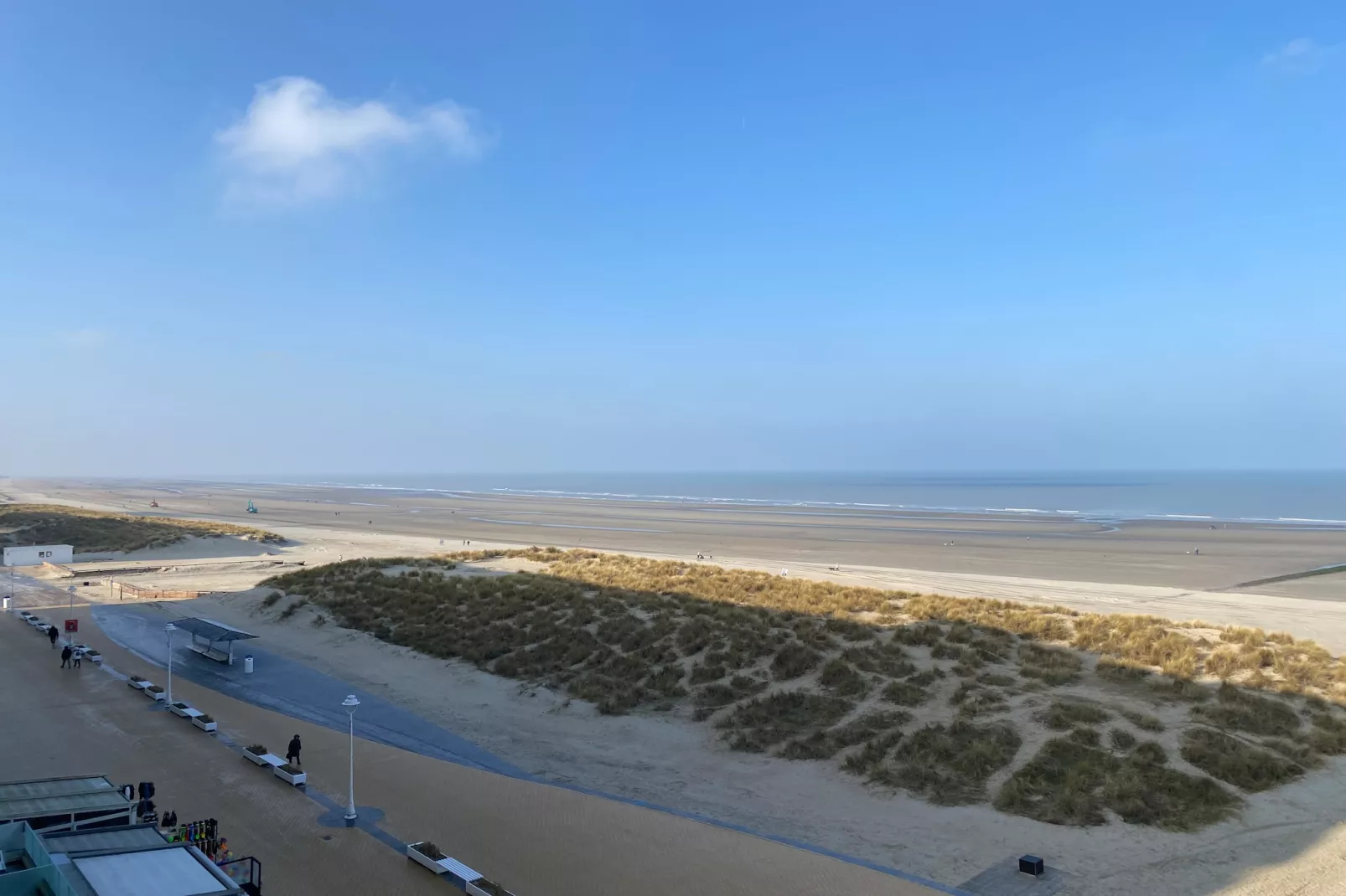 ZEEMEERMIN 502-Gebieden zomer 1km