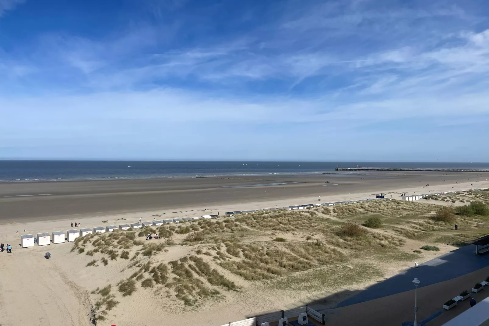 SEAWIND 603-Gebieden zomer 5km
