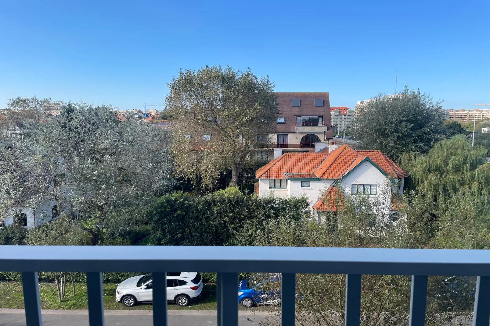 VLASBLOEM 0304GAR-Uitzicht zomer