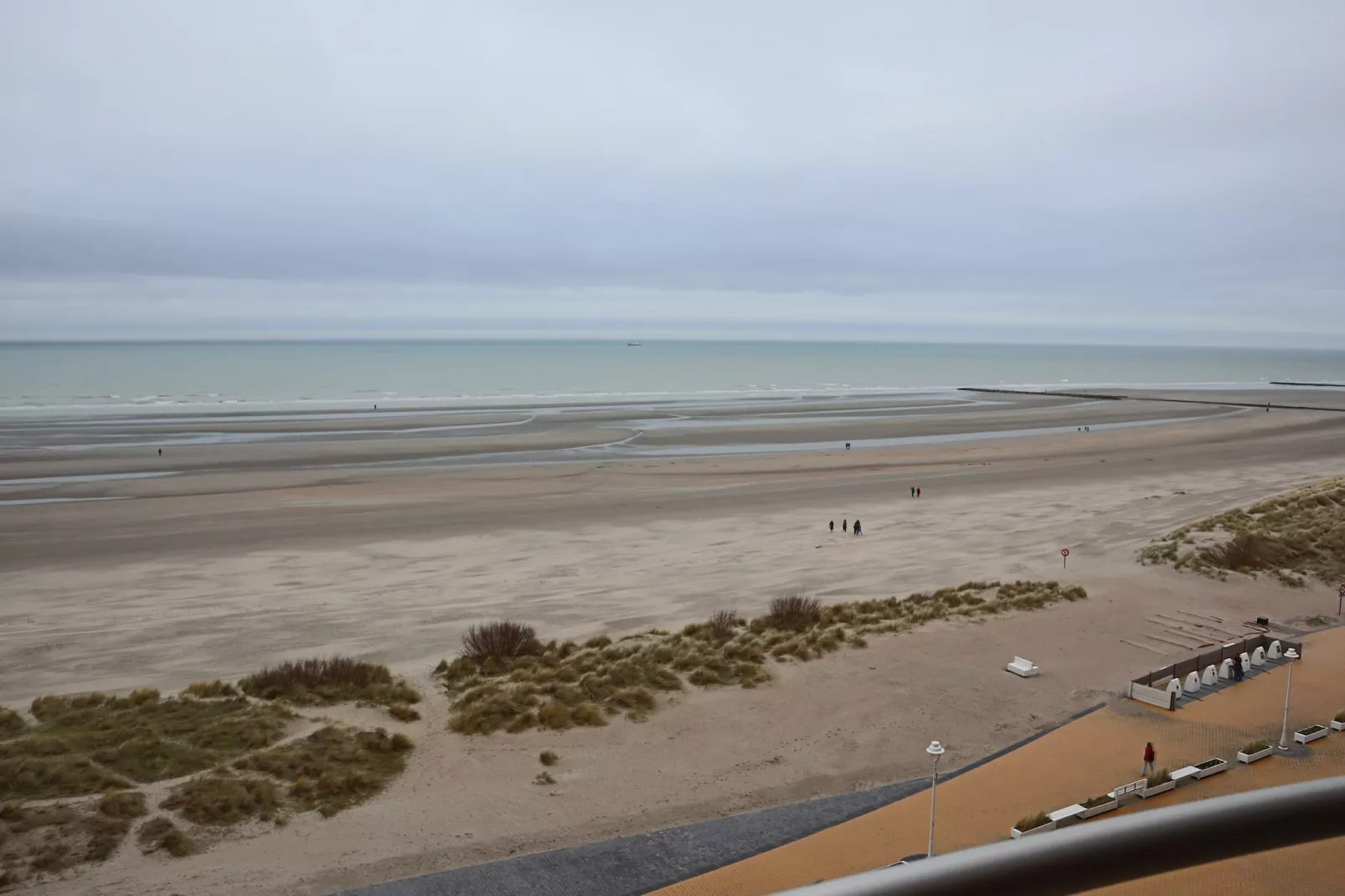 SEASIGHT A 0704GAR-Gebieden zomer 5km