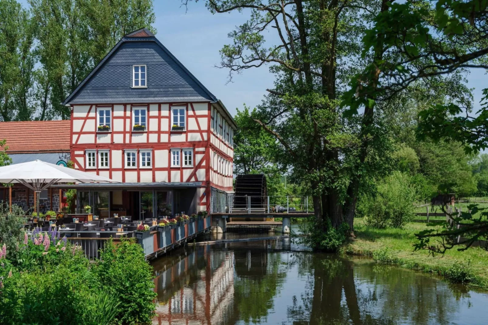 Ferienwohnung Frankenberg-Gebieden zomer 5km