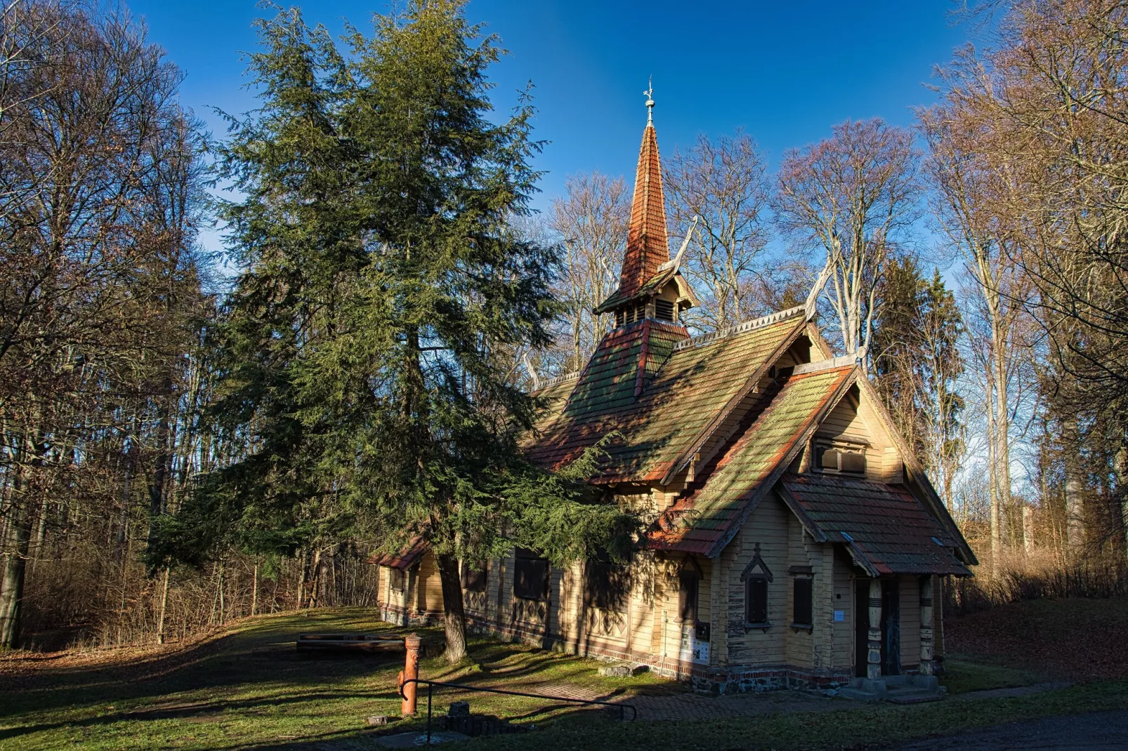 Ferienhaus in Hasselfelde - Haus 59 Blauvogel-Gebieden zomer 1km