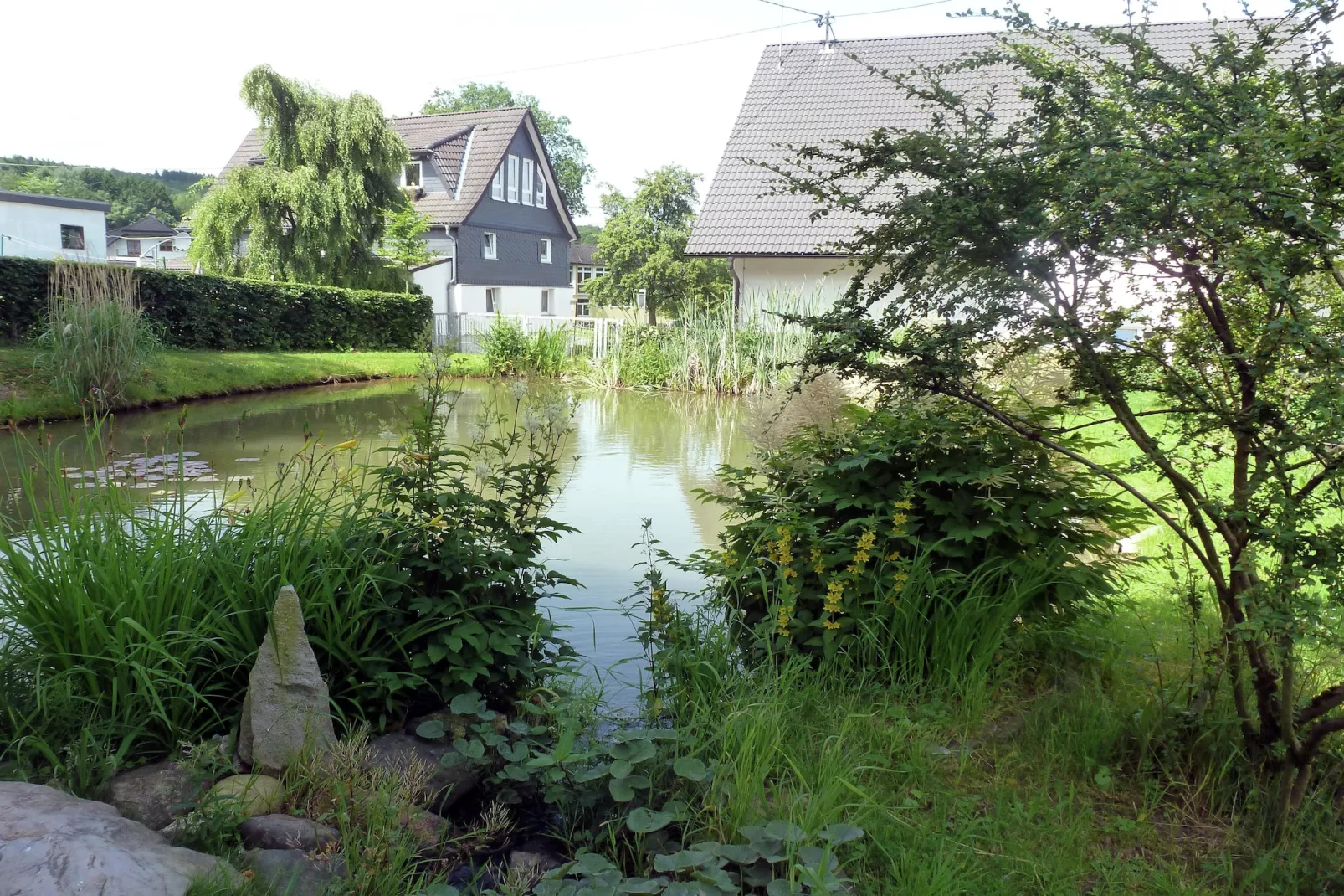 Am Teich-Gebieden zomer 1km