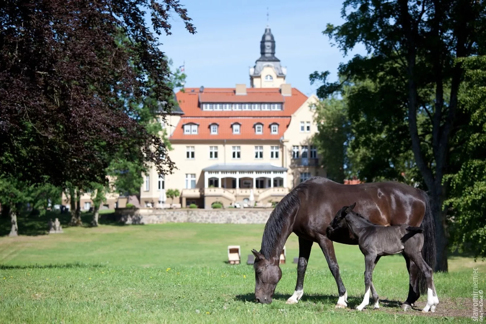 Ferienhaus Yvonne 100 qm-Gebieden zomer 5km