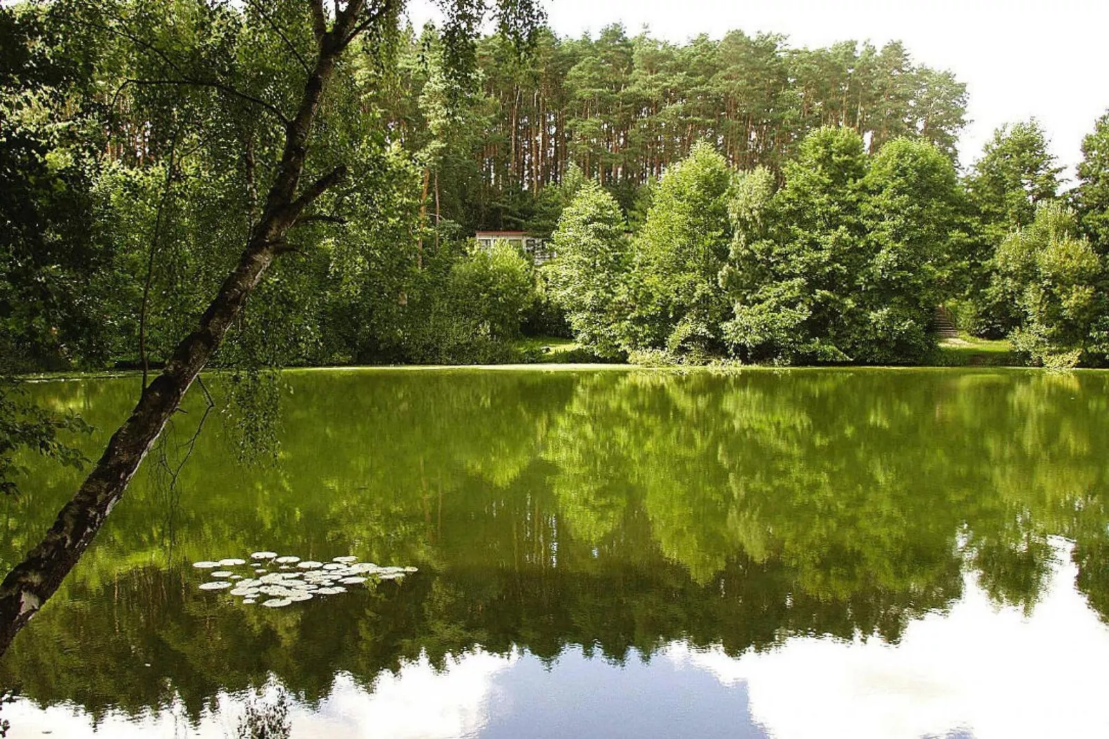 Feriensiedlung Am Grundlossee / DHH Typ 3 45 qm 4 Pers-Waterzicht