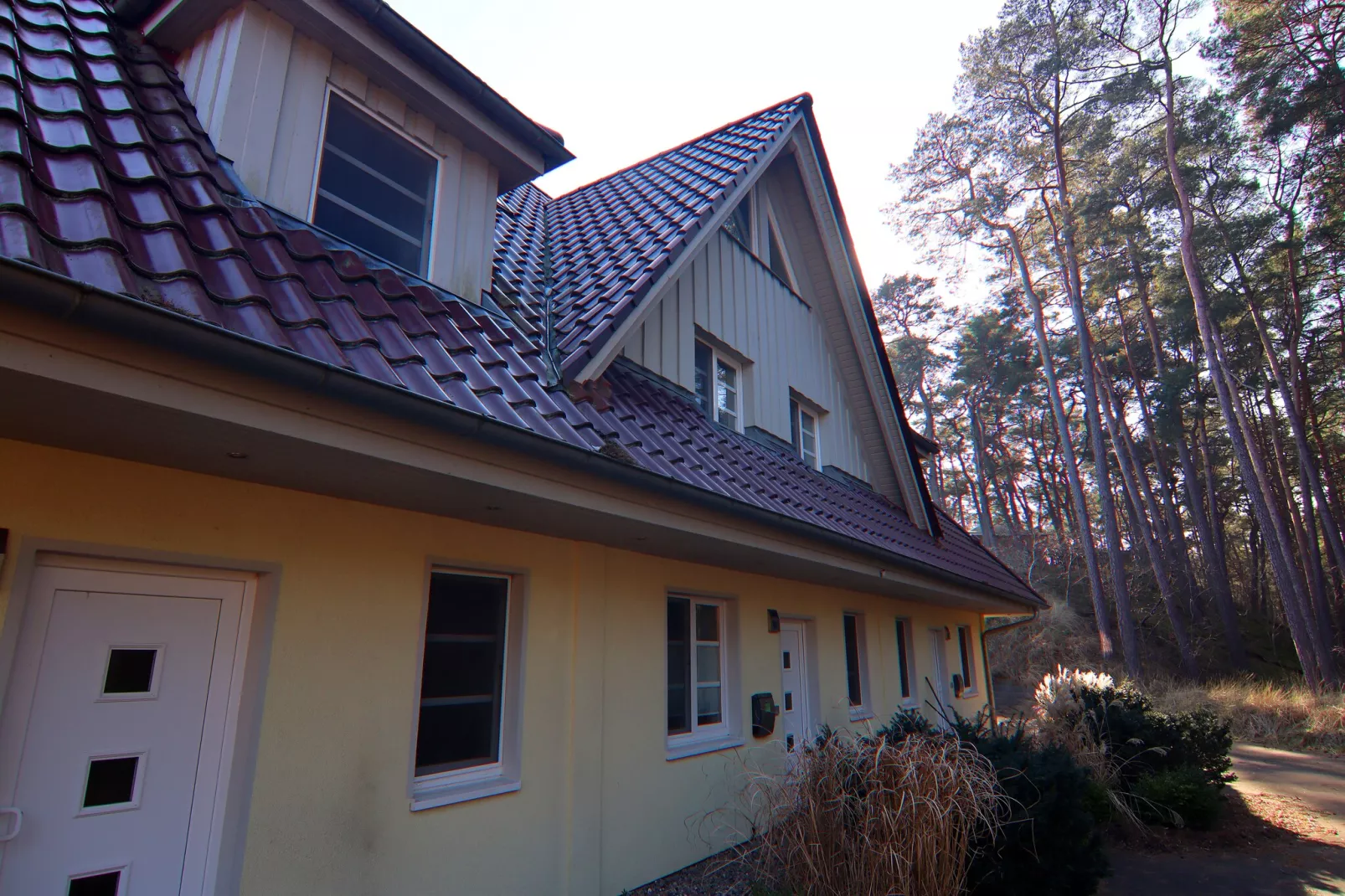 Dünenwaldhaus links Typ 1-Exterieur winter