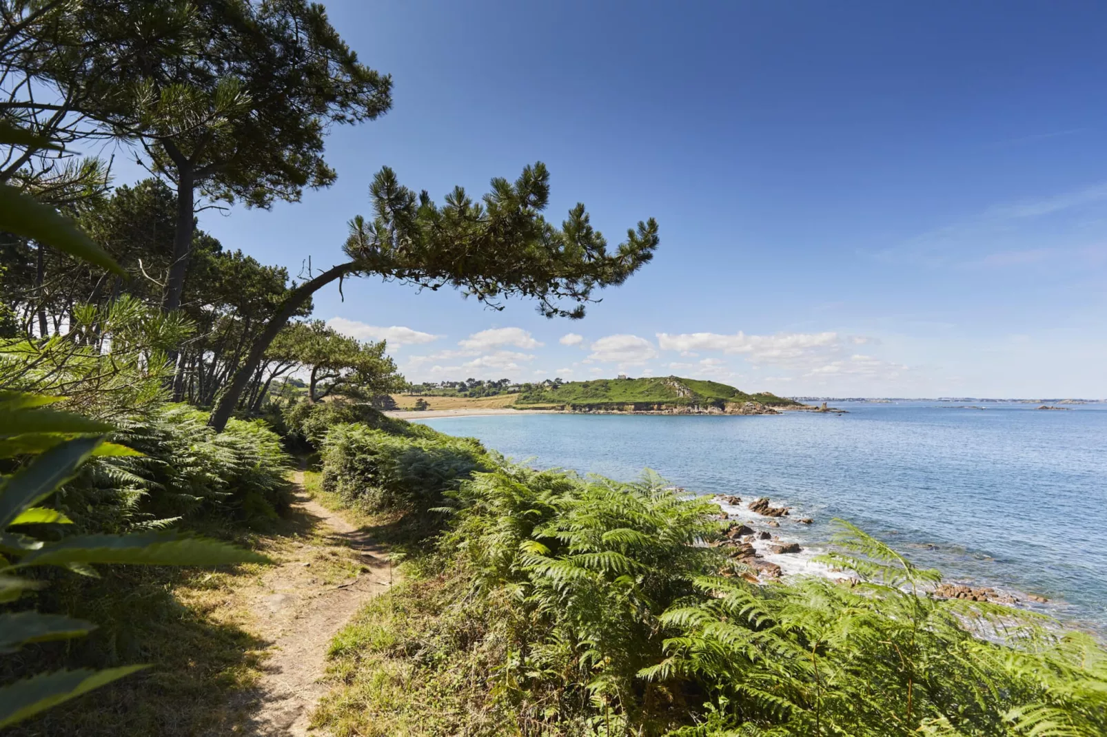 Holiday Home Plougasnou-Gebieden zomer 5km