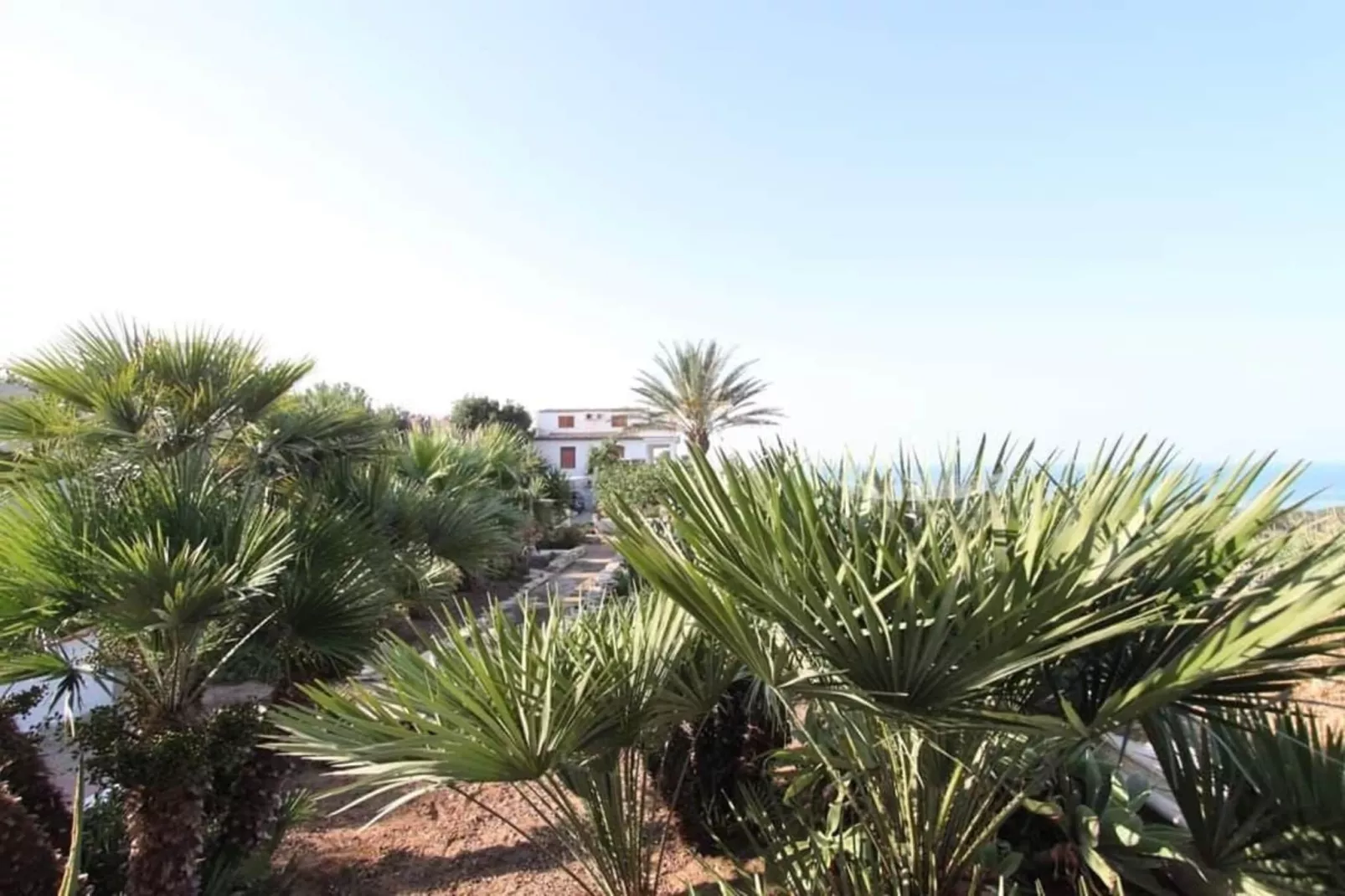Apartments, Castelvetrano-Trilo Antica Sicilia-Uitzicht zomer