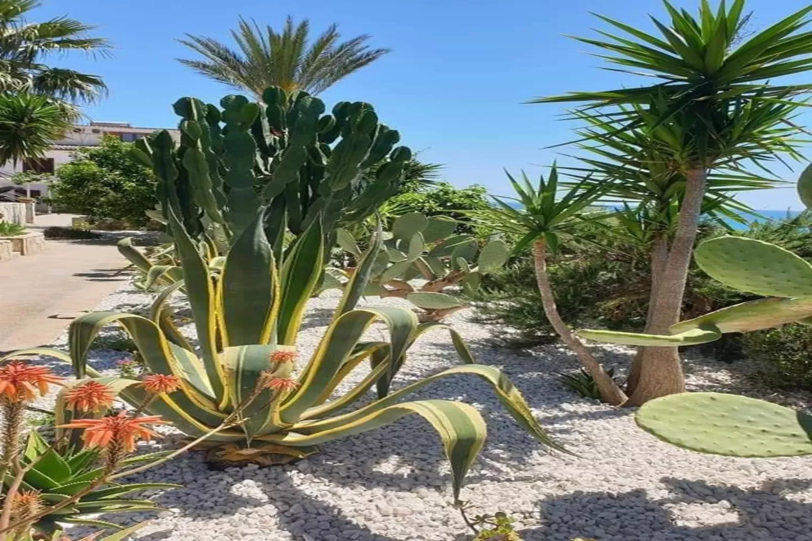 Apartments, Castelvetrano-Trilo Antica Sicilia-Gebieden zomer 1km
