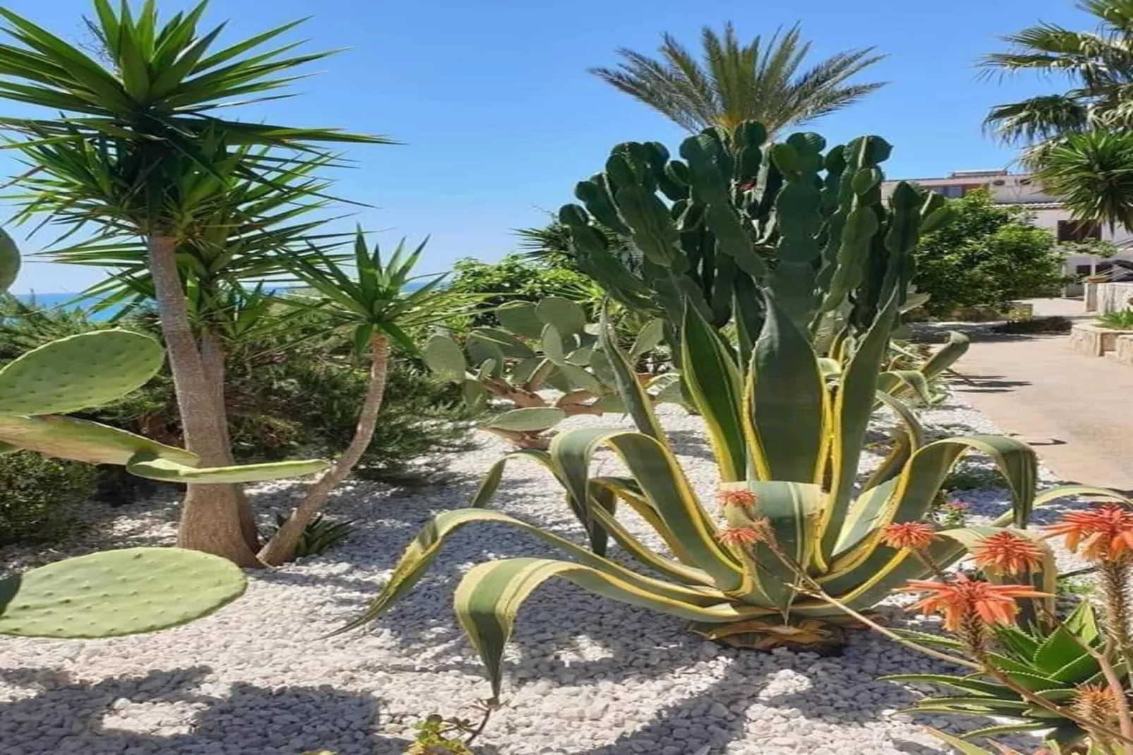 Apartments, Castelvetrano-Trilo Antica Sicilia-Gebieden zomer 1km