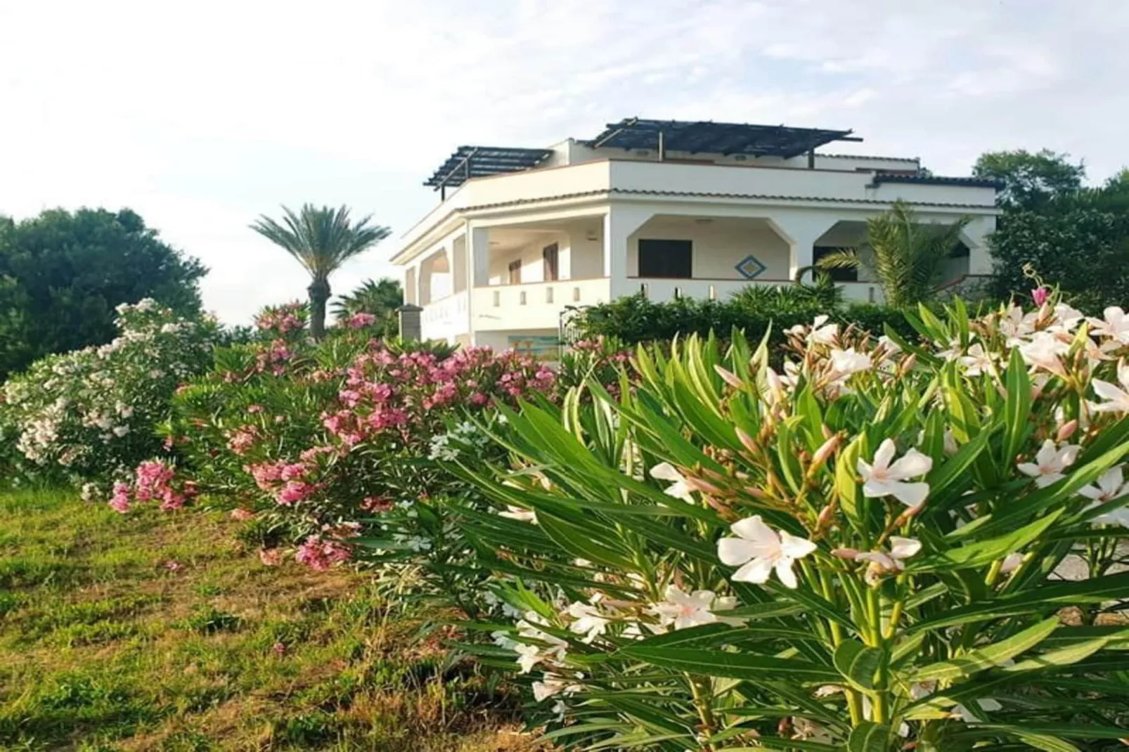 Apartments, Castelvetrano-Trilo Antica Sicilia-Gebieden zomer 1km