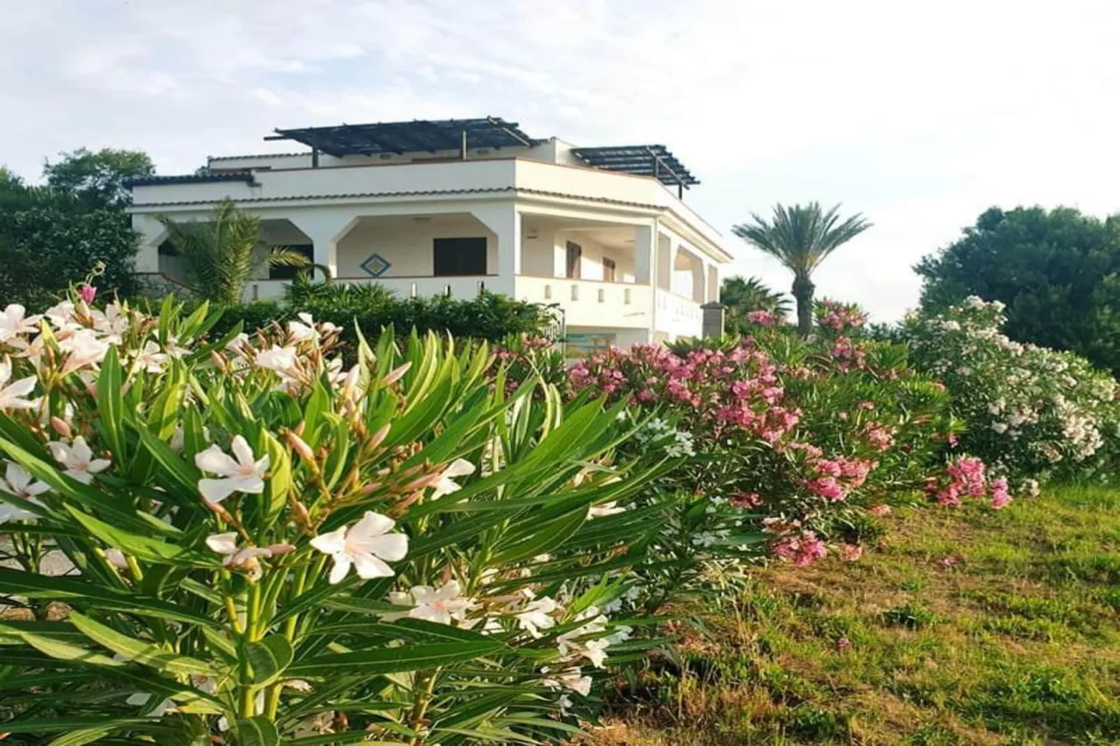 Apartments, Castelvetrano-Trilo Antica Sicilia-Gebieden zomer 1km