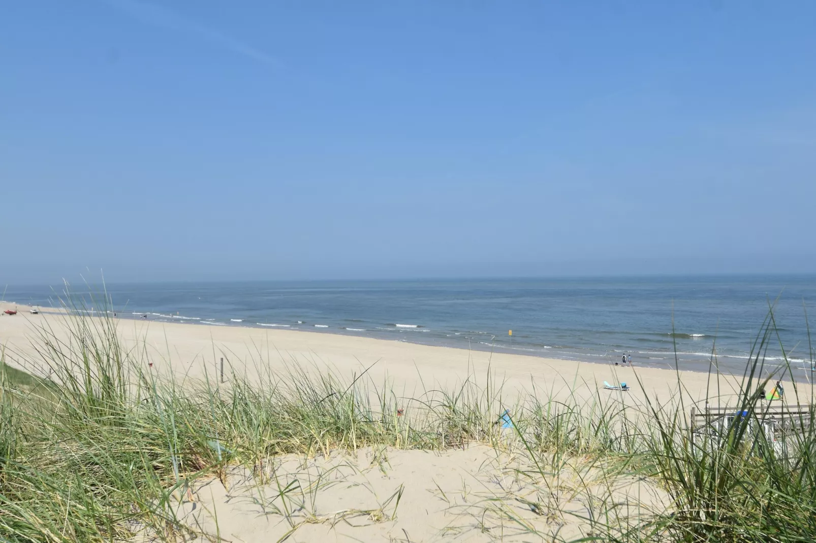 Hazenborgh - Studio Vloed-Gebieden zomer 5km
