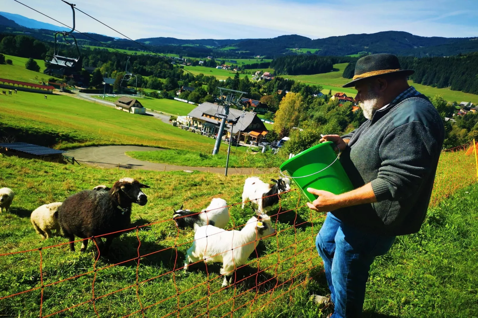 Ferienpark Gaal - Alpenland-Gebieden zomer 5km