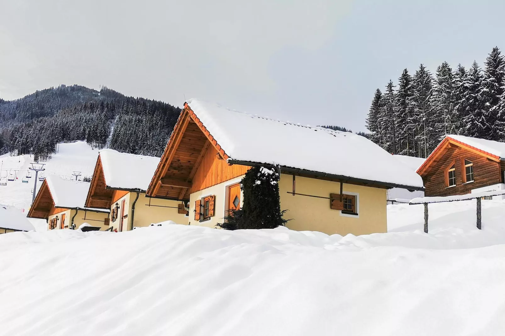 Ferienpark Gaal - Alpenland-Exterieur winter