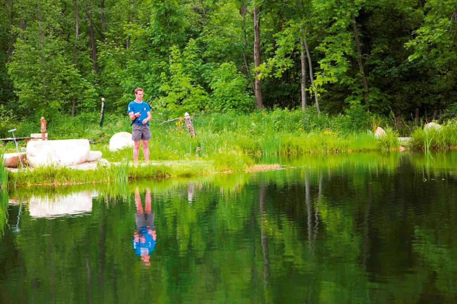Ferienpark Gaal - Alpenland-Gebieden zomer 5km