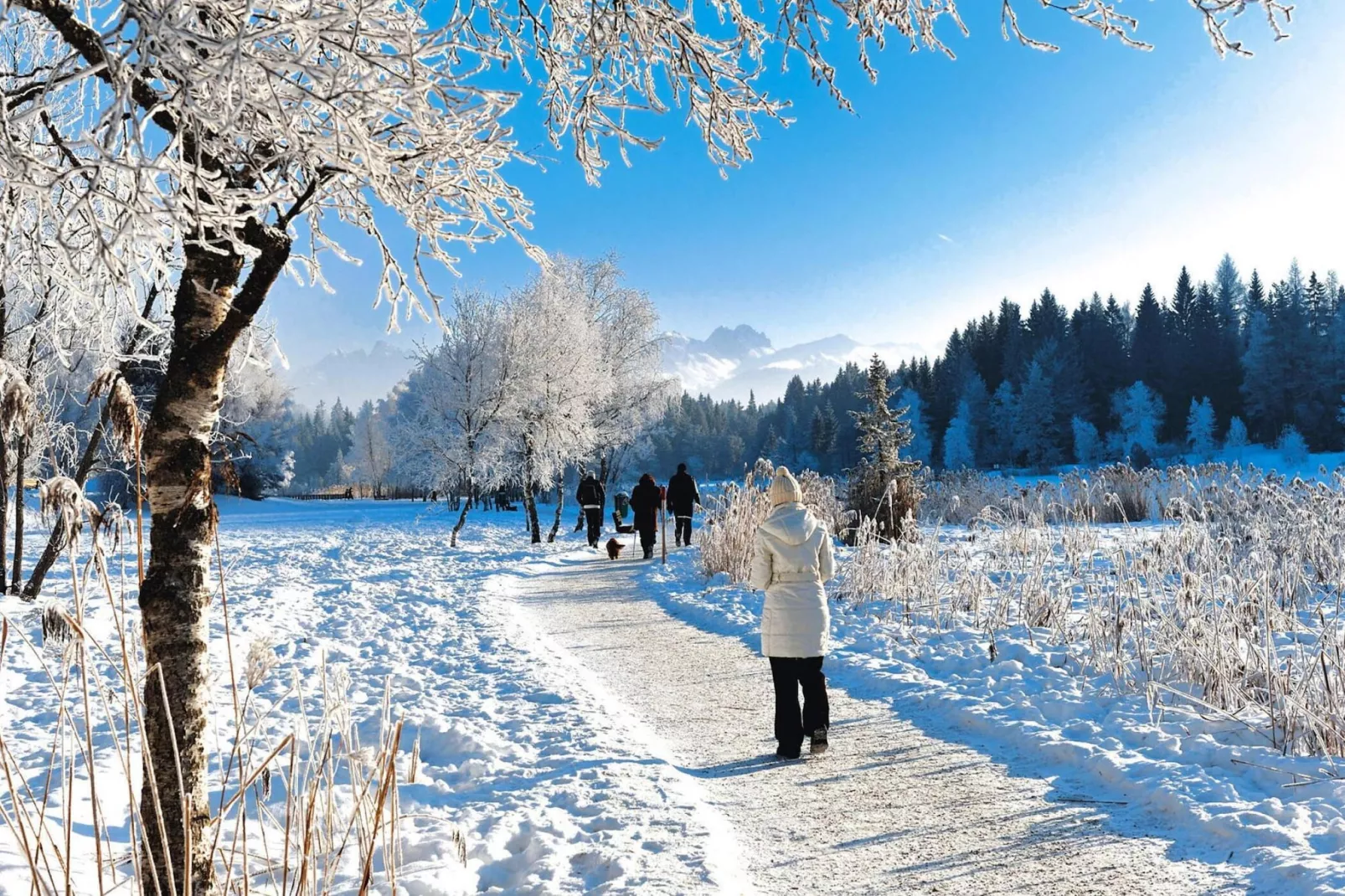 Bergbauernhof Wallnöfer-Gebied winter 5km