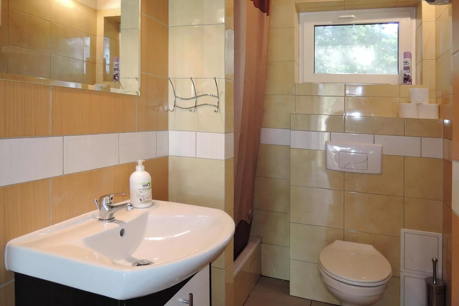 Holiday complex in Jezierzyce by Szczecin at the lake for 4 persons 30 qm Typ B Zielony-Badkamer