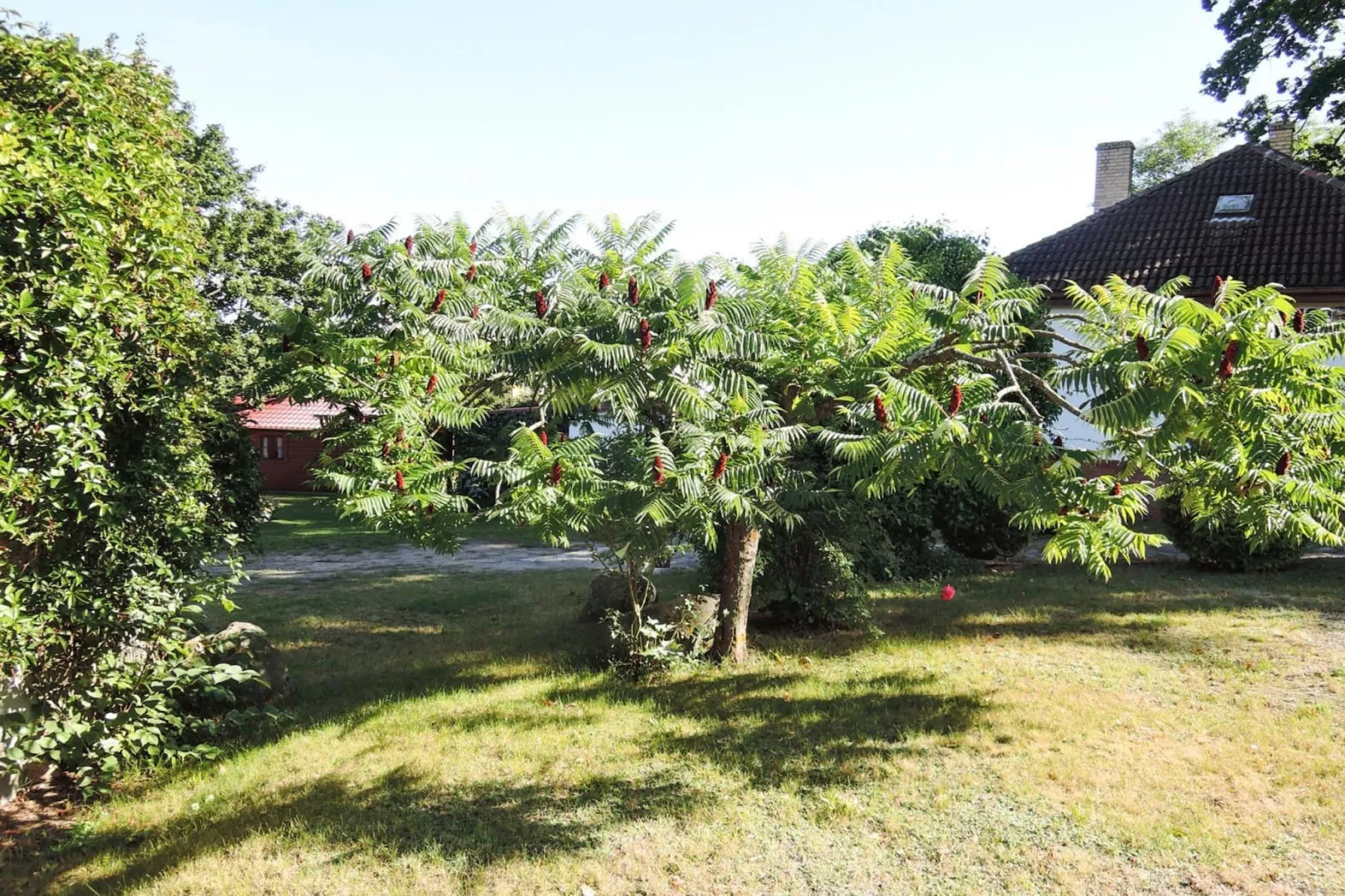 Bungalows Lubin Typ A Jolanta-Gebieden zomer 1km
