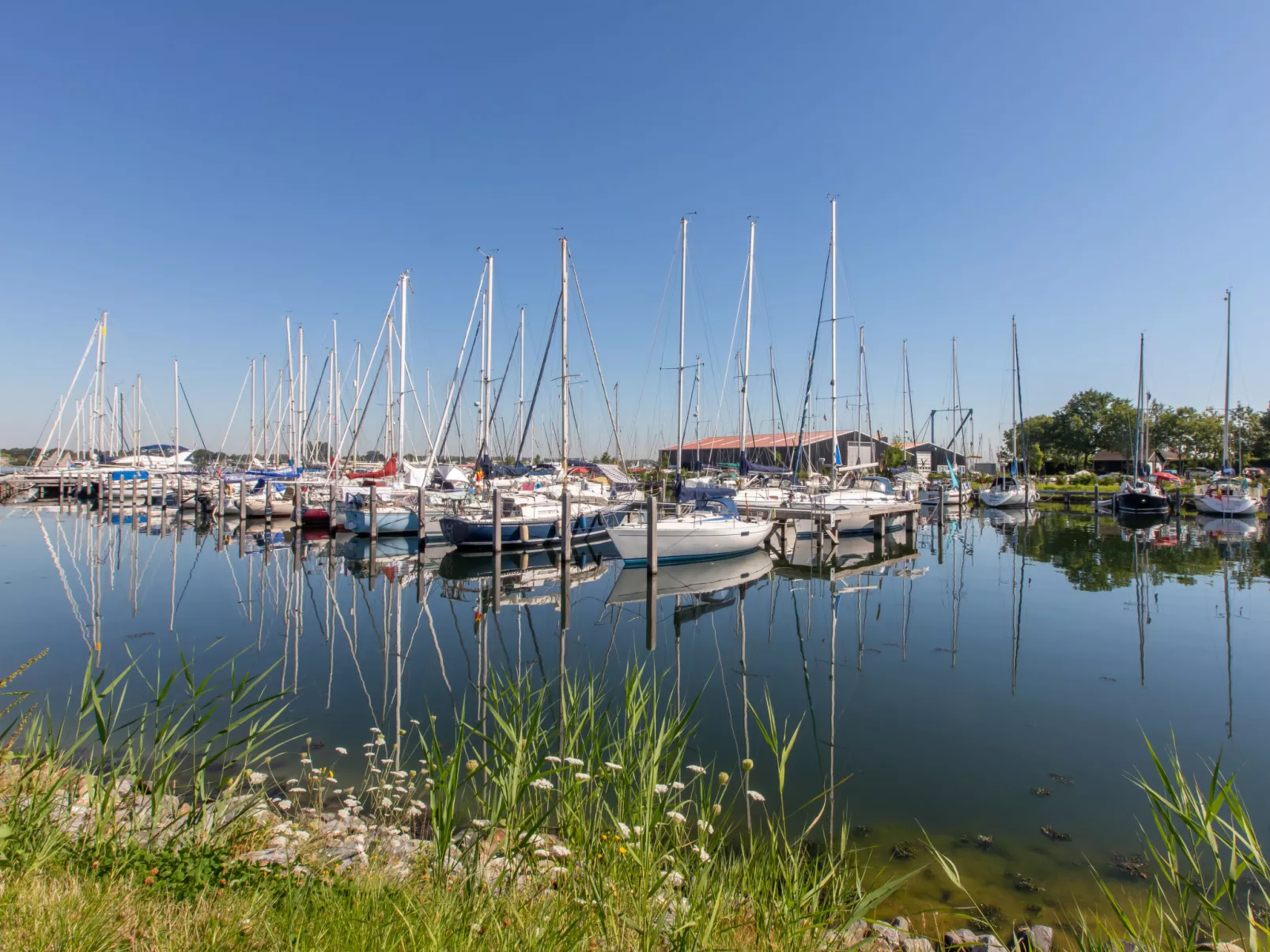 Haus Anni-Omgeving
