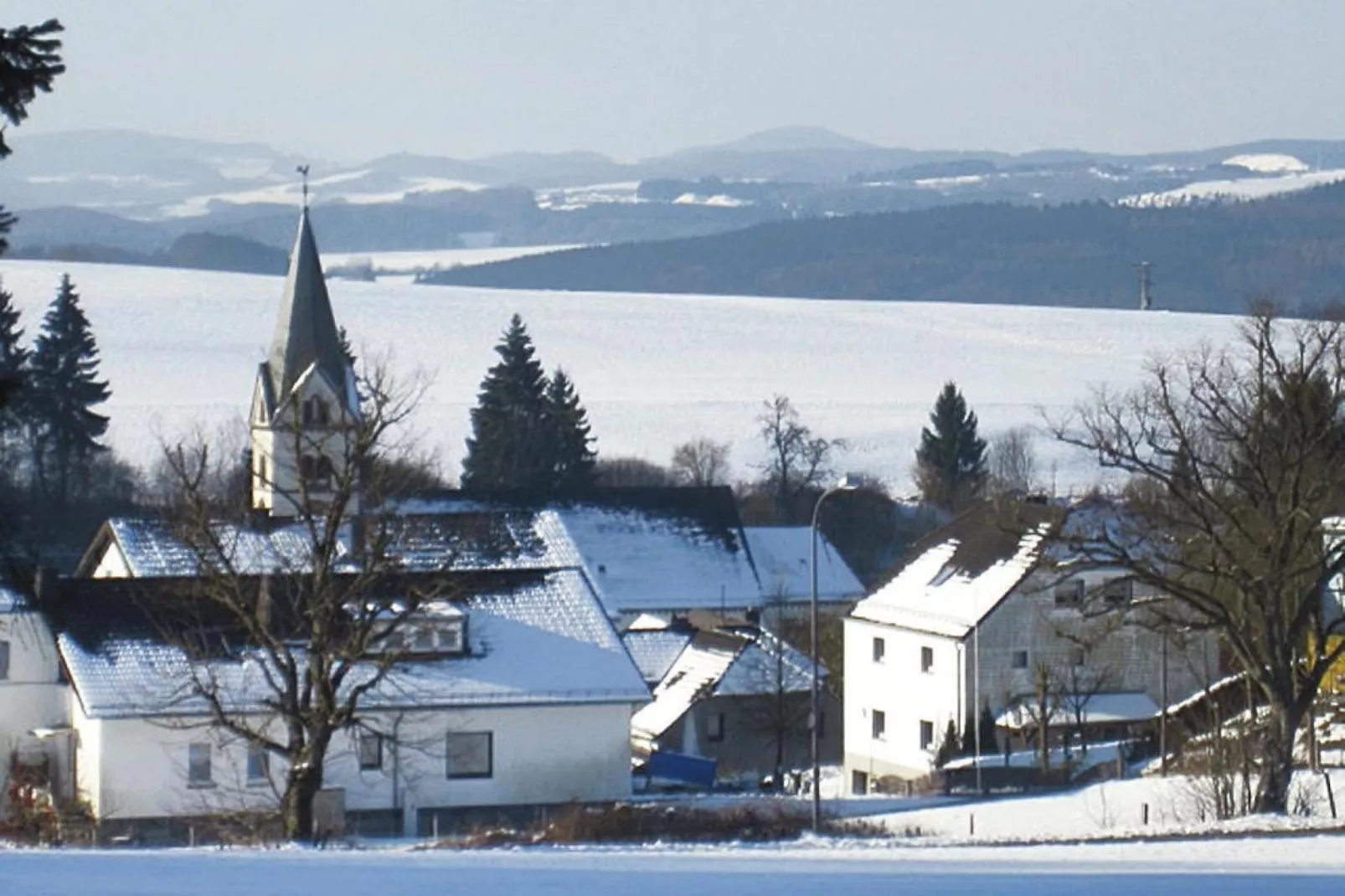 Zaunkönig-Exterieur winter