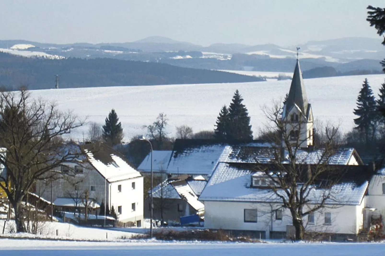 Zaunkönig-Exterieur winter