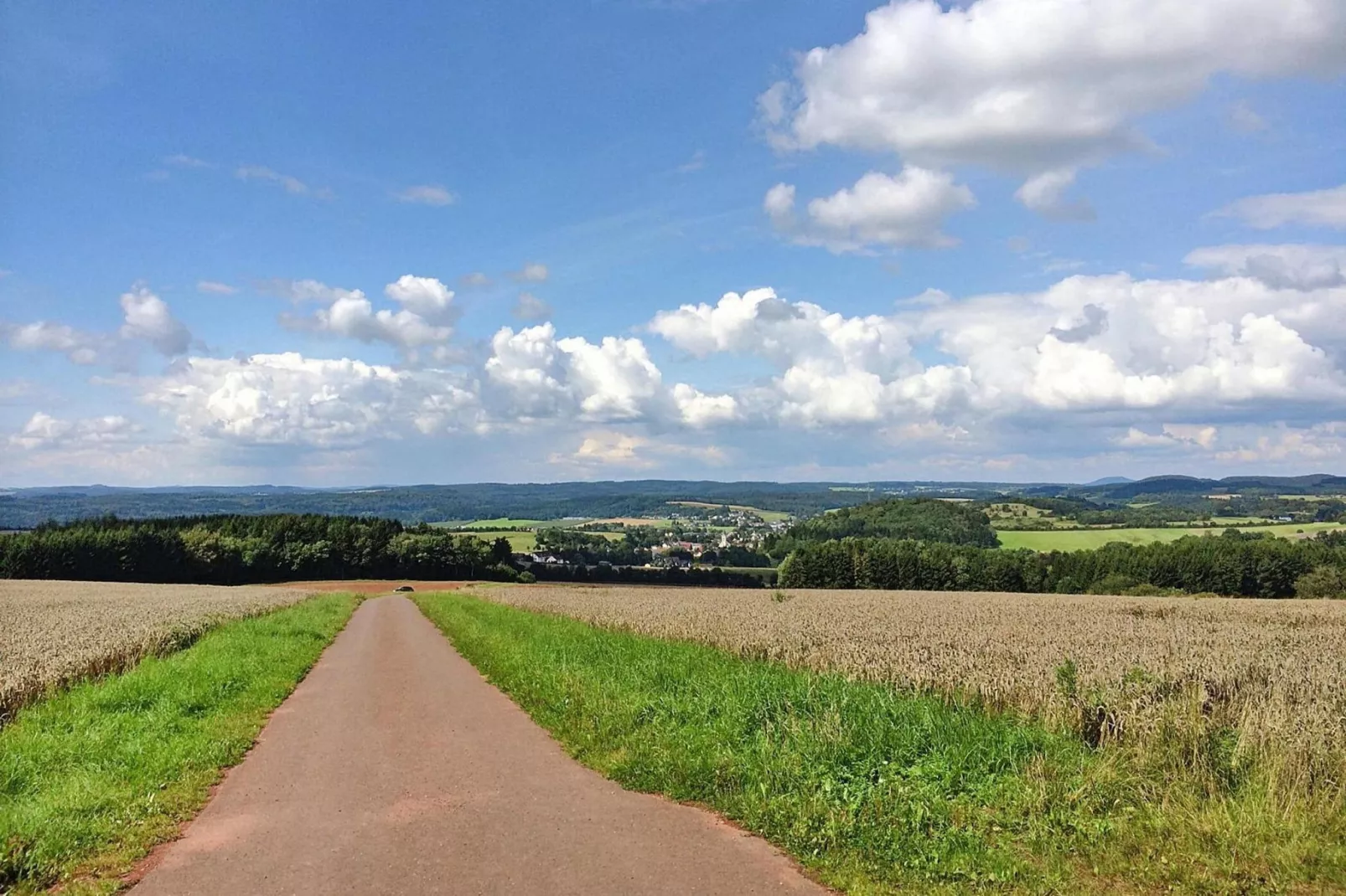 Zaunkönig-Gebieden zomer 5km