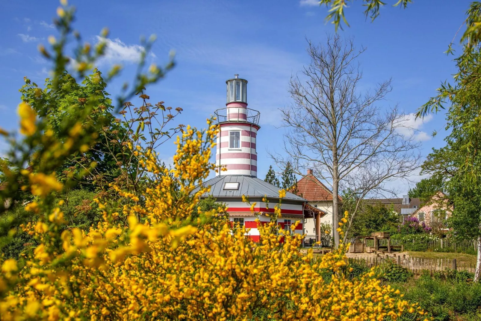 BEECH Resort Fleesensee in Göhren-Lebbin-Uitzicht zomer