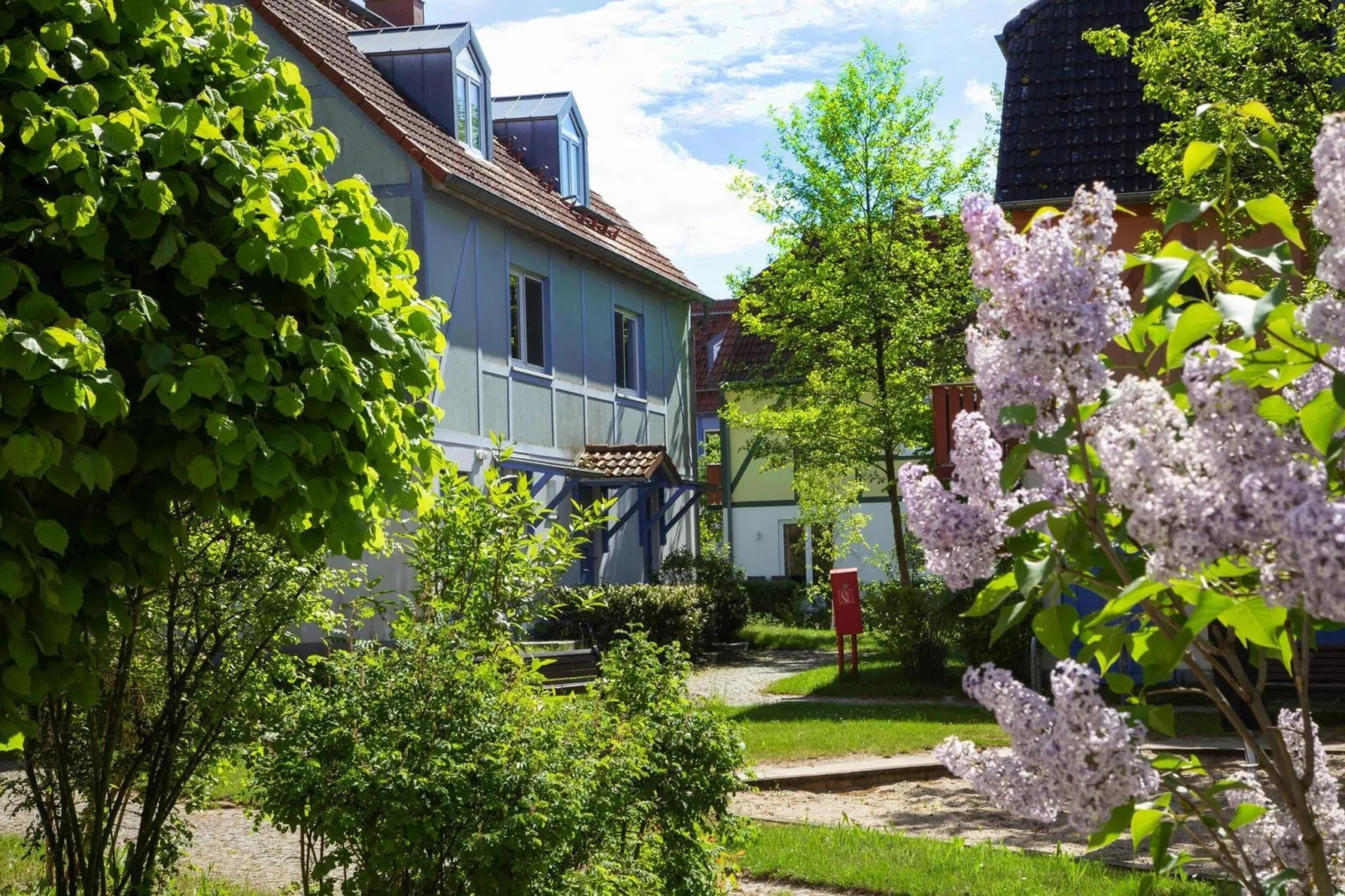 BEECH Resort Fleesensee in Göhren-Lebbin-Tuinen zomer