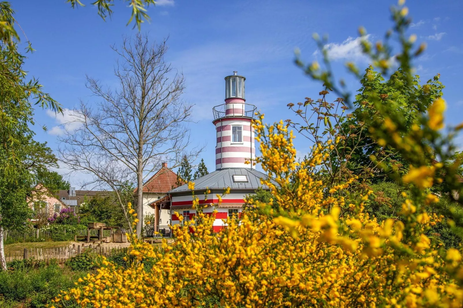 BEECH Resort Fleesensee in Göhren-Lebbin-Uitzicht zomer