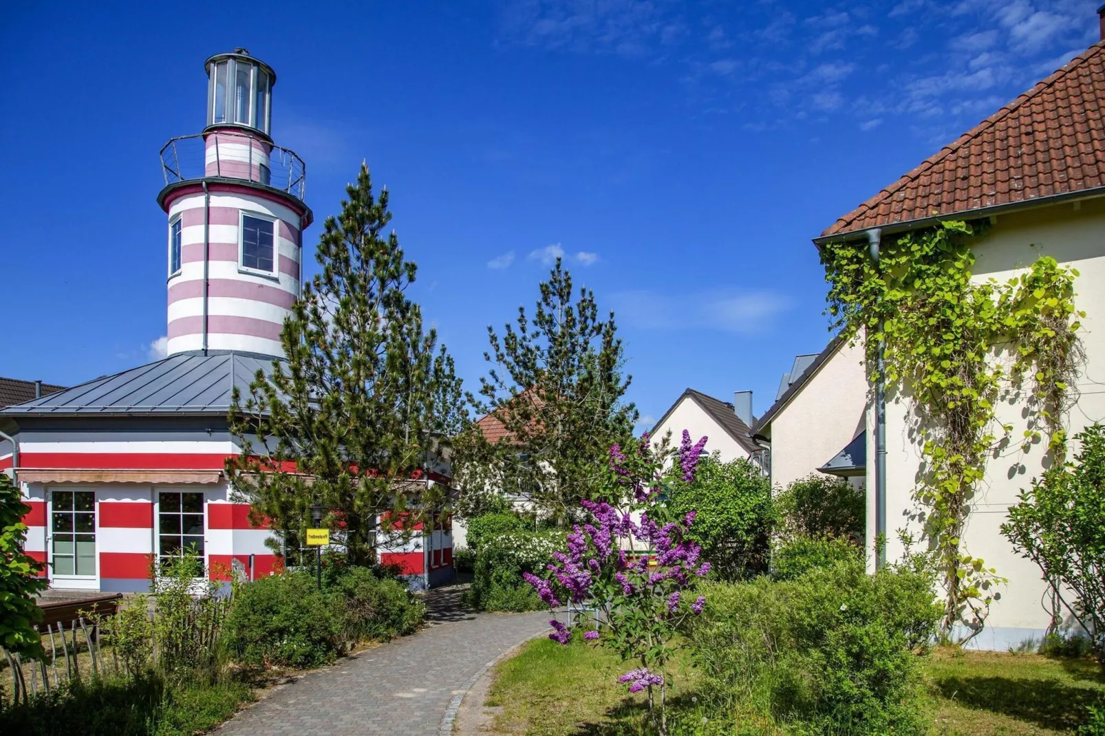 BEECH Resort Fleesensee in Göhren-Lebbin-Gebieden zomer 1km