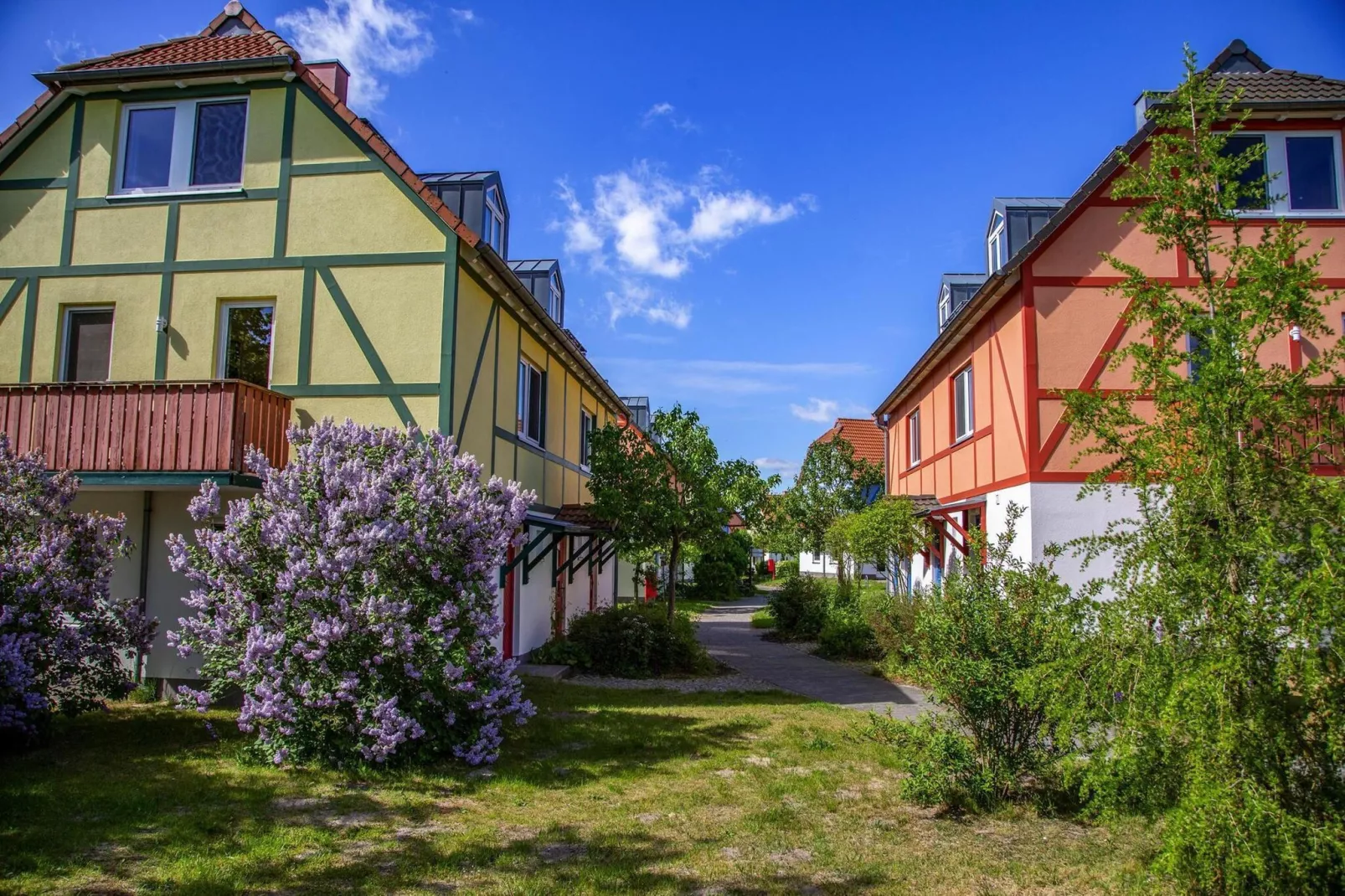 BEECH Resort Fleesensee in Göhren-Lebbin-Gebieden zomer 1km