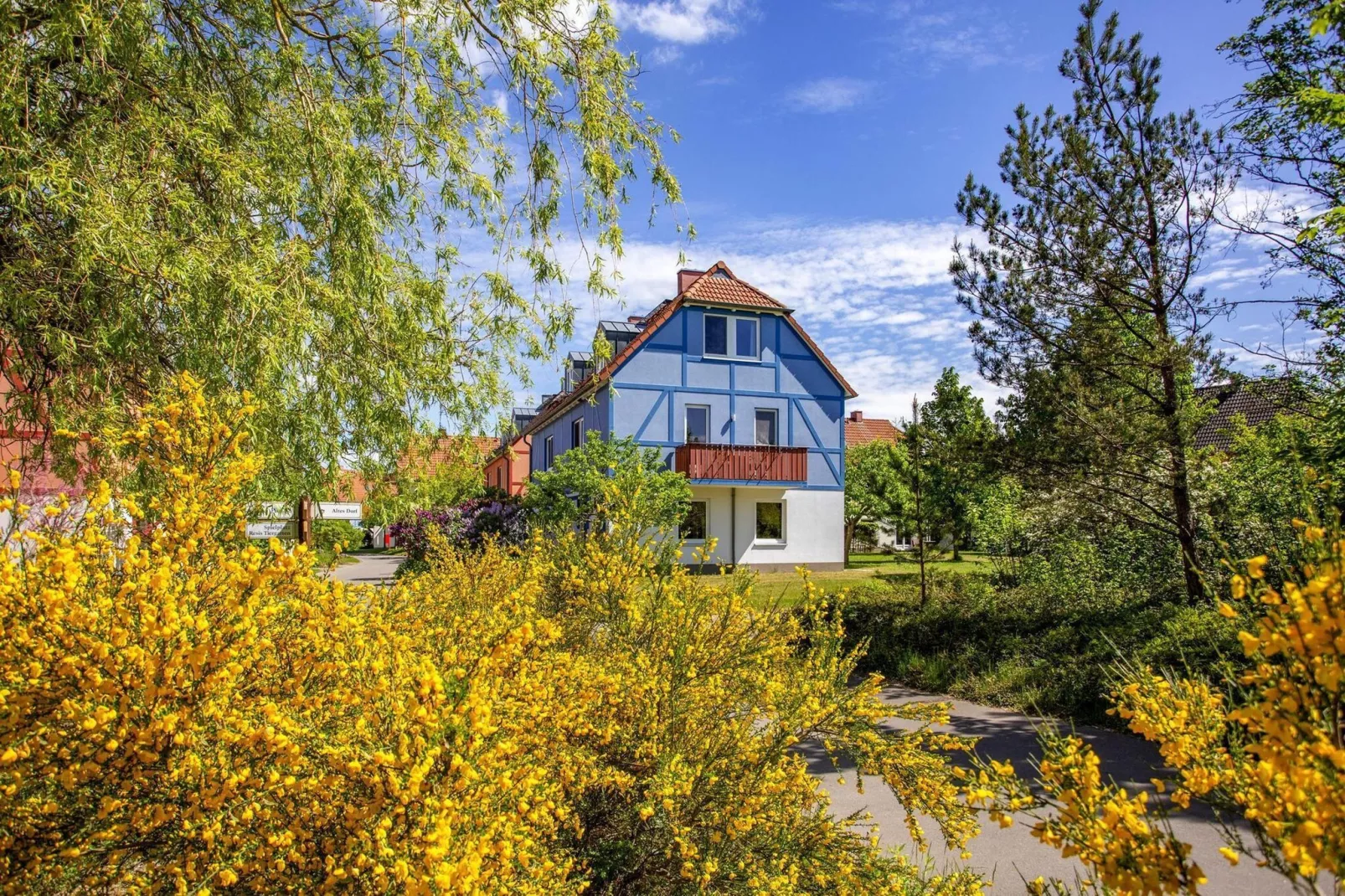 BEECH Resort Fleesensee in Göhren-Lebbin-Gebieden zomer 1km