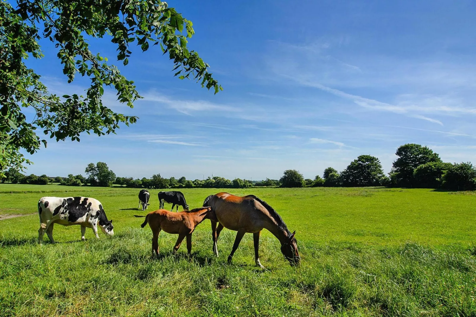 Das Posthus in Behrendorf-Gebieden zomer 5km