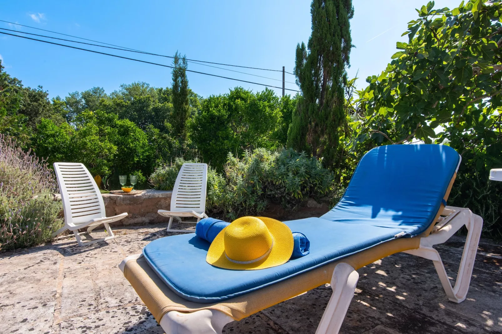 Can Petit-Tuinen zomer