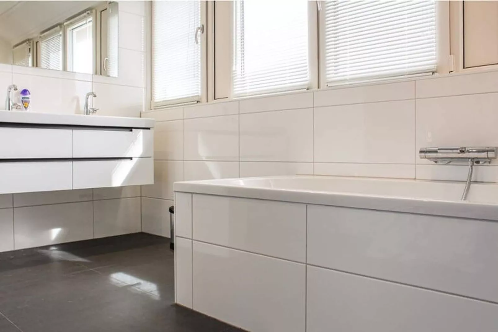 Recreatiepark Idskenhuizen 2-Badkamer