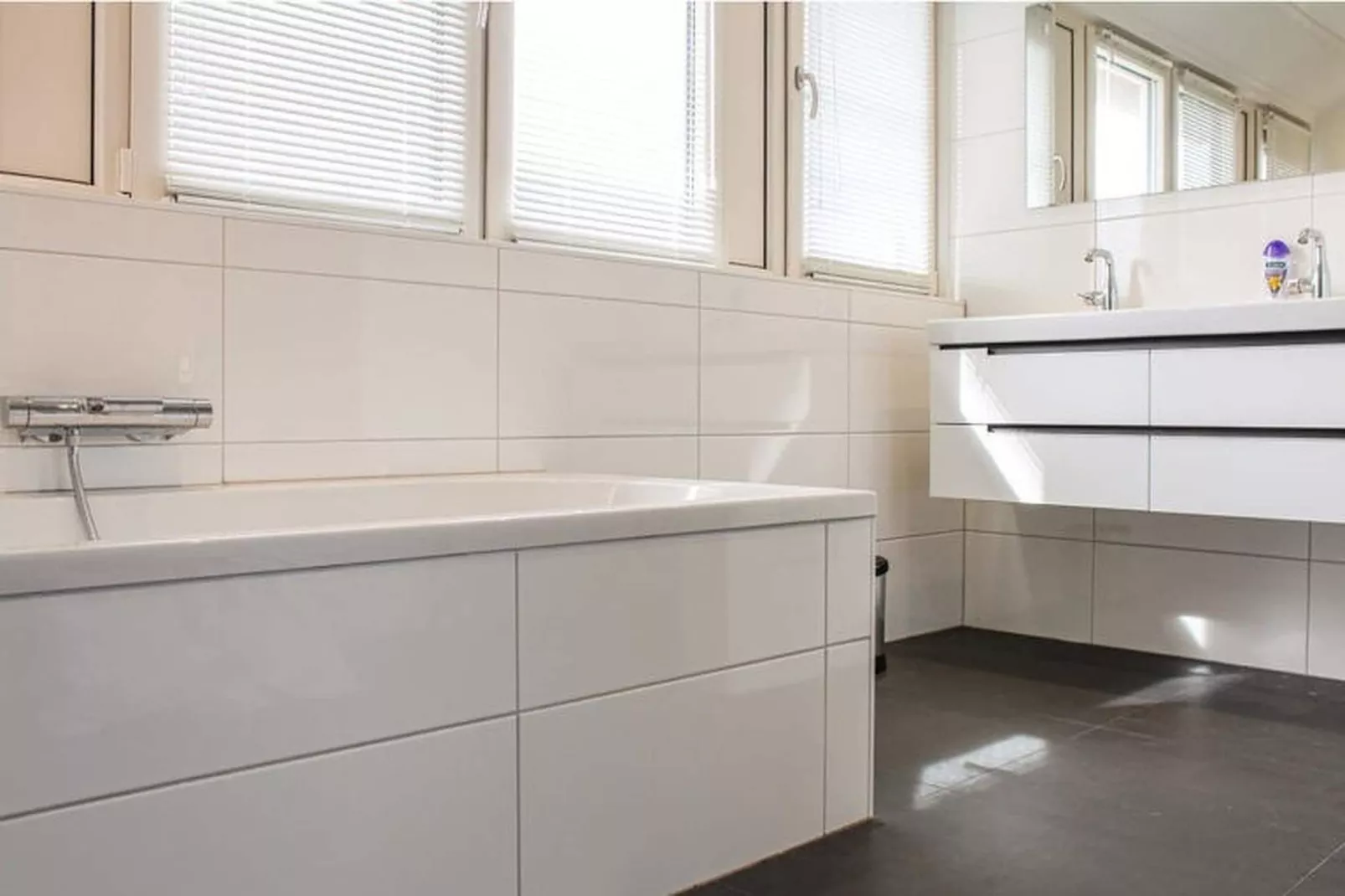Recreatiepark Idskenhuizen 2-Badkamer