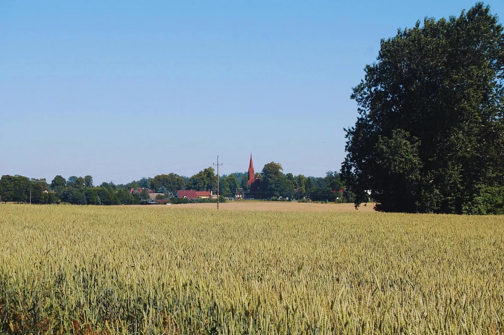 Dom wakacyjny z basenem dla 7 osób Sieciemin-Gebieden zomer 1km