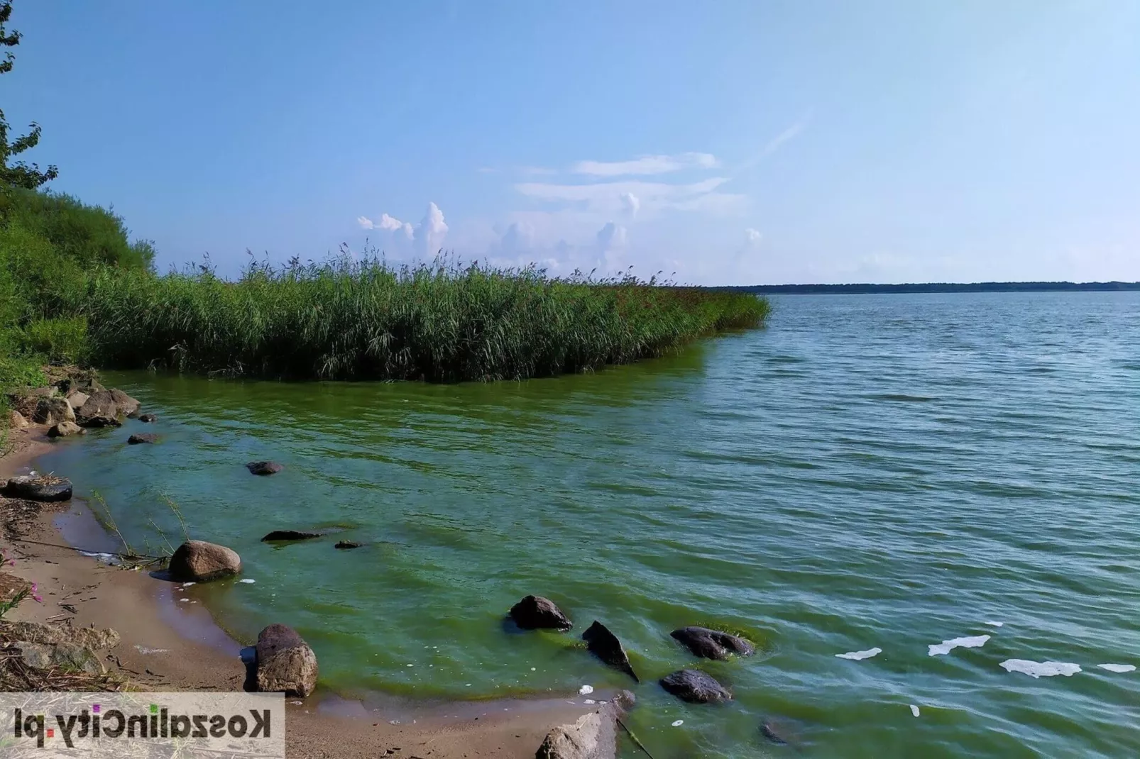 Domek letniskowy 70 m2 TYP B Osieki-Gebieden zomer 5km