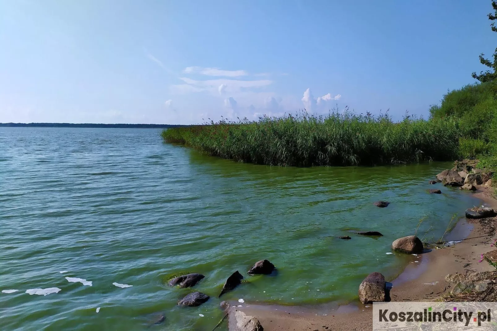 Domek letniskowy 70 m2 TYP B Osieki