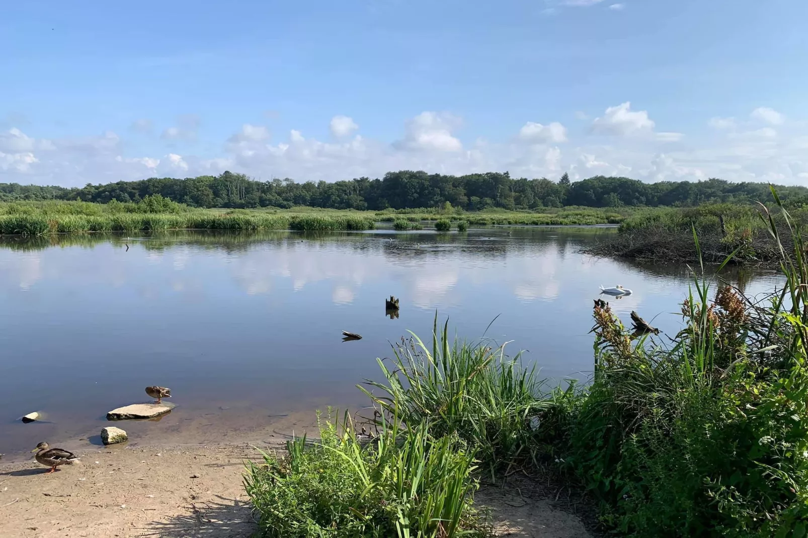 Domek parterowy 30 m2 TYP B Ustronie Morskie-Gebieden zomer 5km