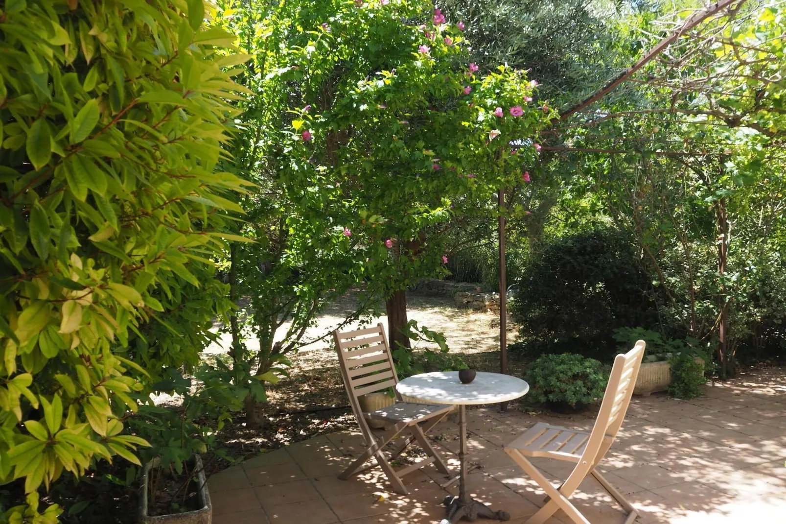 Ferienhaus in Vernègues-Tuinen zomer