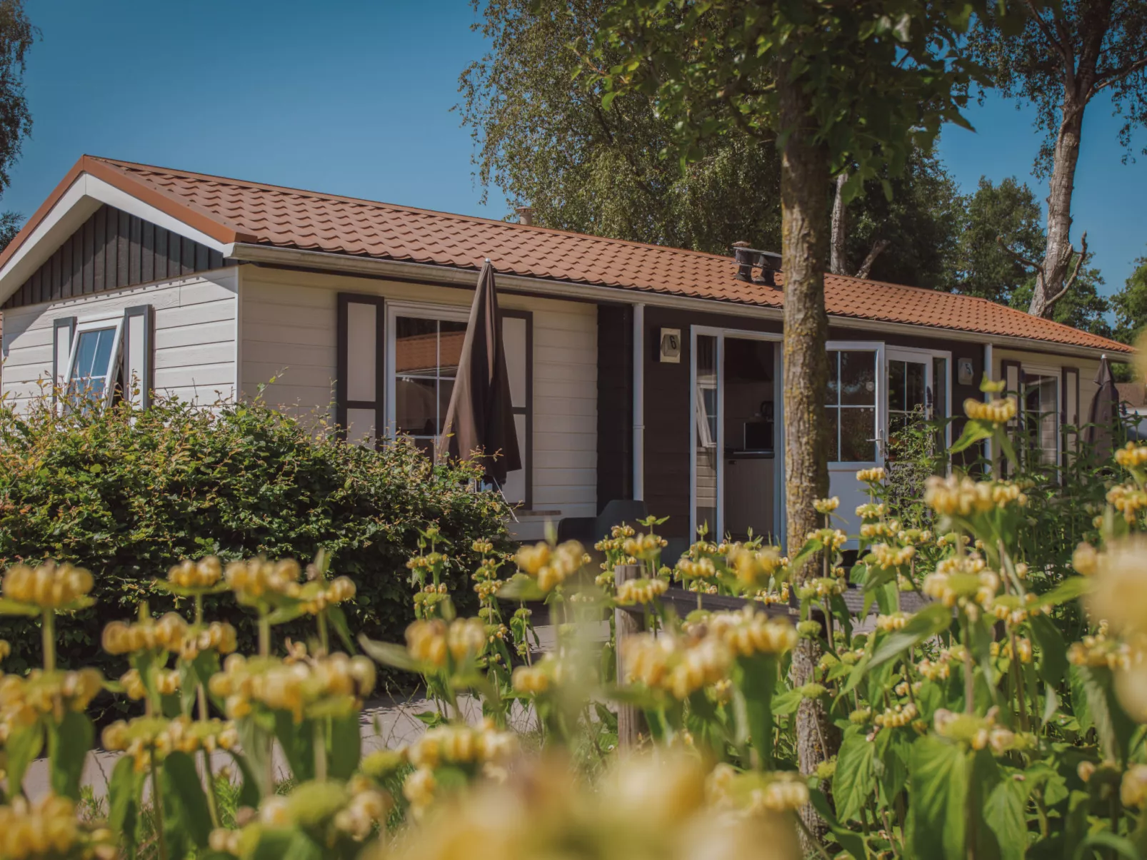 Recreatiepark De Boshoek-Buiten
