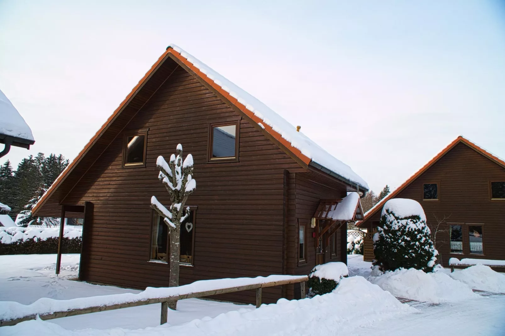 Ferienhaus in Hasselfelde - Haus 46 Blauvogel-Exterieur winter