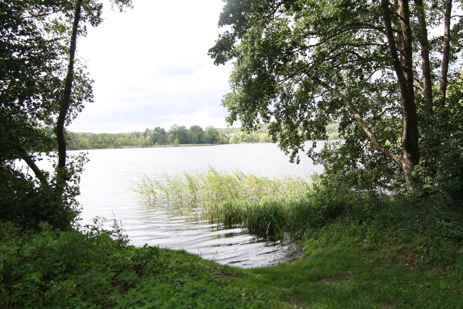 Ferienhaus 60 qm rollstuhlgerecht-Gebieden zomer 5km