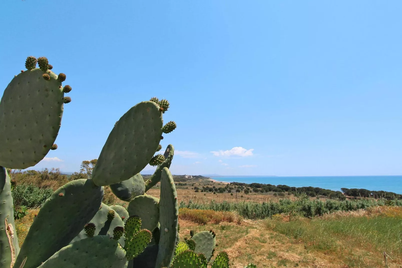 Apartments, Castelvetrano-Trilo La Rosa dei Venti-Uitzicht