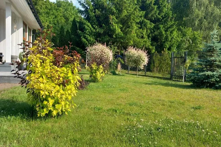 Budlejowy domek dla 4 osób w Kołczewie-Tuinen zomer