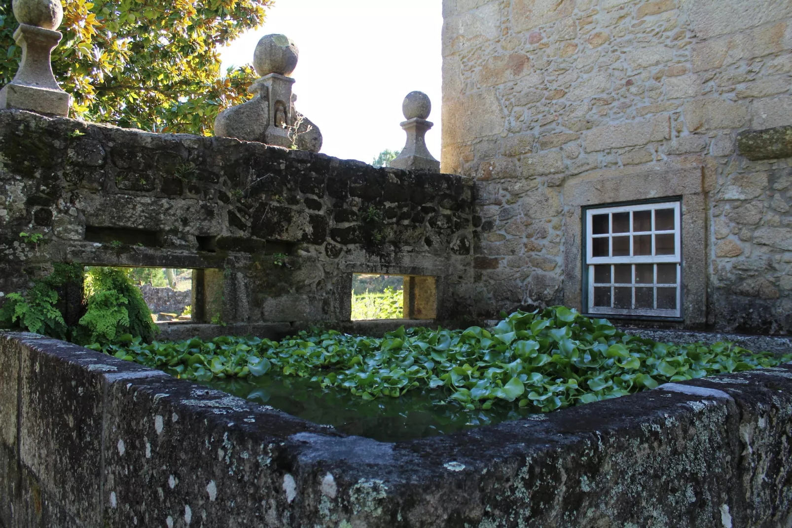 Casa da Adega-Tuinen zomer